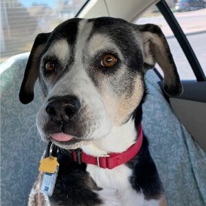 Meet your Posher, Kazue